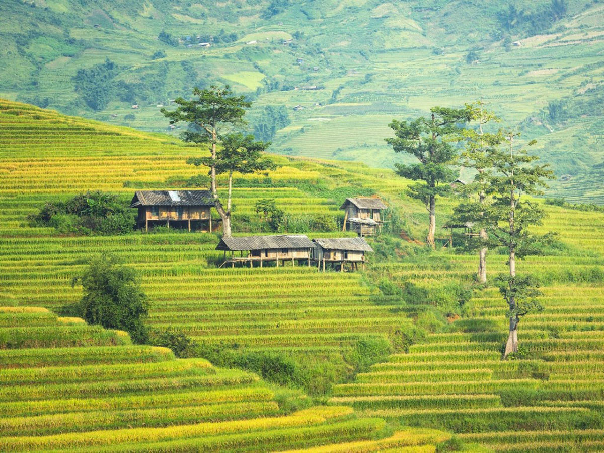 Ubud